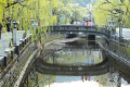 【城崎温泉】七つの外湯巡りで有名な山陰の名湯（当館より車で約35分）
