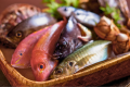 【夏　素材】鱧や伊佐木、連子鯛、鯵、飛魚など新鮮な地物魚介をご用意しております [一例]