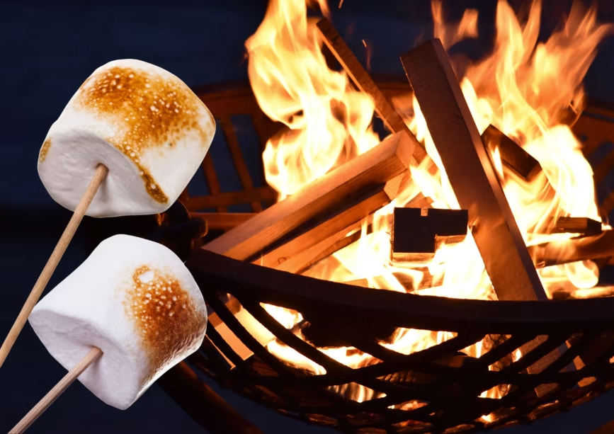 快適キャビン泊【焚き火プラン！薪使い放題】マシュマロ付/BBQガスグリル使用可/食材は自由に持ち込み♪