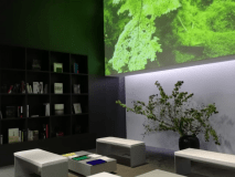 【2泊以上で優雅なMOGANAステイ】連泊特価プラン（食事なし）