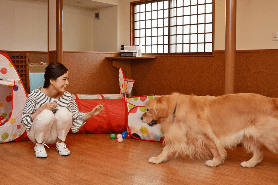 ◆雨の日でも遊べるミニドッグラン完備♪わんちゃん達ものびのび過ごせます！
