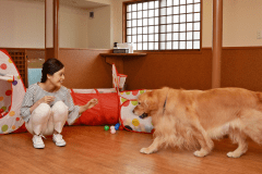 ◆雨の日でも遊べるミニドッグラン完備♪わんちゃん達ものびのび過ごせます！