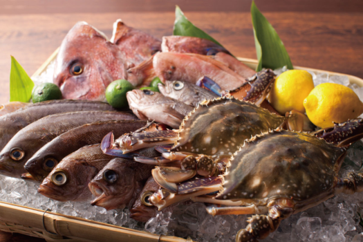 新鮮な旬の魚介類