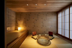 Japanese-Western Twin