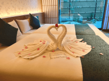 和ツイン　スワン