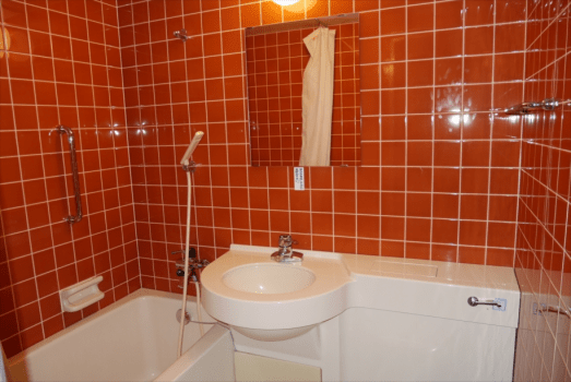 デラックス１０畳和洋室（広間・キッチン・ユニットバス付）