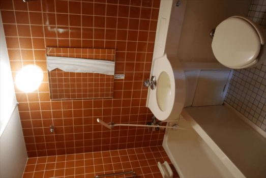 デラックス１０畳和洋室（広間・キッチン・ユニットバス付）