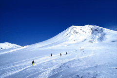 連泊プラン（２泊～）