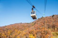 【秋の行楽プラン】50種以上から選べるアクティビティクーポン2，000円分付き！リゾート×体験★