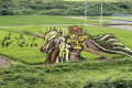 「小野川の田んぼアート」温泉街からすぐの高台から眺める