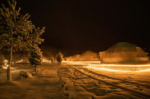 【1泊2食】＜美味少量＞生ズワイガニづくし～カニのみを楽しみたい！冬の味覚の王様・ズワイガニのみをじっくり味わう美味少量メニュー～
