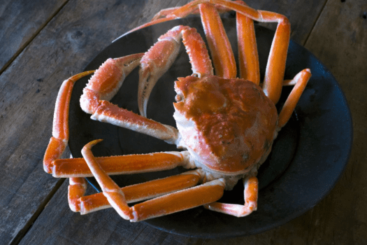 【1泊2食】≪ハイグレード≫生ズワイガニ＆BBQプラン～冬の味覚の王様”カニ三昧”！焼きガニ、カニしゃぶ、茹でガニetc。全ての調理法で堪能頂く”最上級カニフルコース”～＜グランルージュ夕日ヶ浦＞