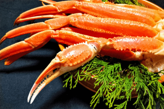 【1泊2食】＜スタンダード＞生ズワイガニ＆BBQプラン～グルメな方におすすめ！ズワイガニとBBQ、両方を楽しむ”冬期限定”の欲張りメニュー～