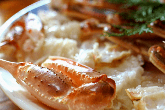 【1泊2食】＜美味少量＞生ズワイガニづくし～カニのみを楽しみたい！冬の味覚の王様・ズワイガニのみをじっくり味わう美味少量メニュー～