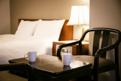 【スタンダード／ダブル】広々ベッドでゆったりと。「かごしま旅」を語らうひととき＿＿。