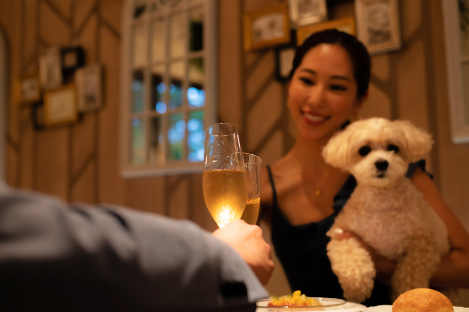 こだわりのお料理は、おすすめのワインとともに。 こだわりのお料理は、おすすめのワインとともに。