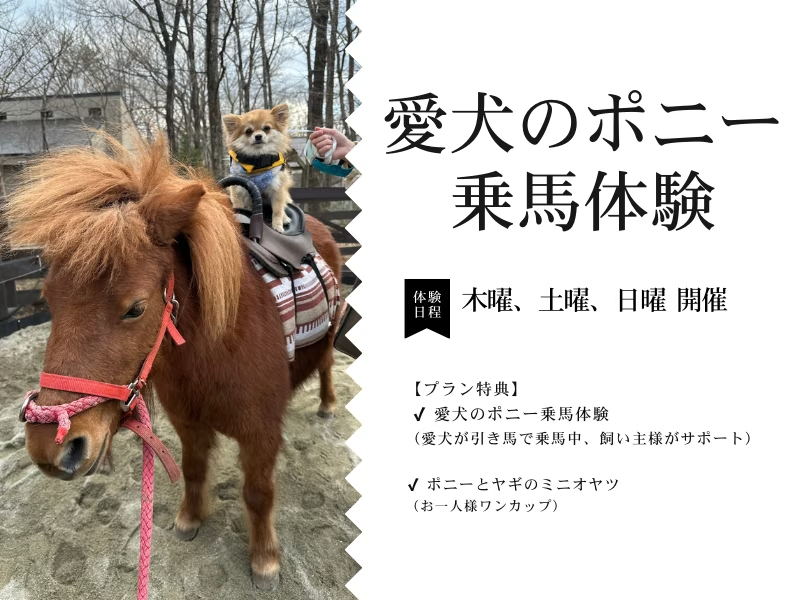 【愛犬のポニー乗馬体験付】愛犬と過ごす特別なひととき