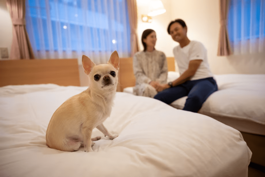 サクッと行ってゆったり過ごす栃木県民割プラン♪