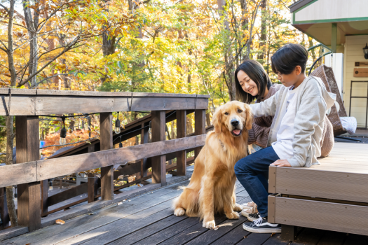館内どこでも愛犬同伴可能♪一緒にいれて、ワンちゃんも嬉しそうです。