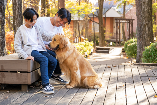 館内どこでも愛犬同伴可能♪一緒にいれて、ワンちゃんも嬉しそうです。
