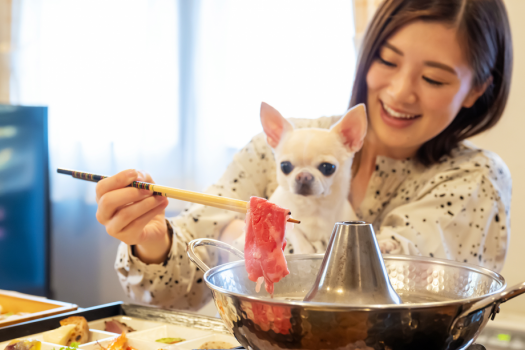 【ご夕食：お部屋でしゃぶしゃぶ】周りを気にせず、気兼ねないお食事時間。怖がりのワンちゃんも安心です。