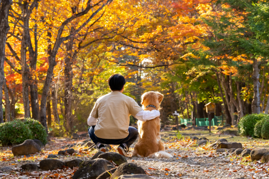 一緒に旅すれば、もっと好きになる。愛犬との特別で心地よい時間をお届けいたします。