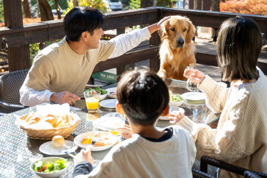 天気のいい日はテラスで朝食を。美味しそうなごはんに、ワンちゃんも興味津々…？