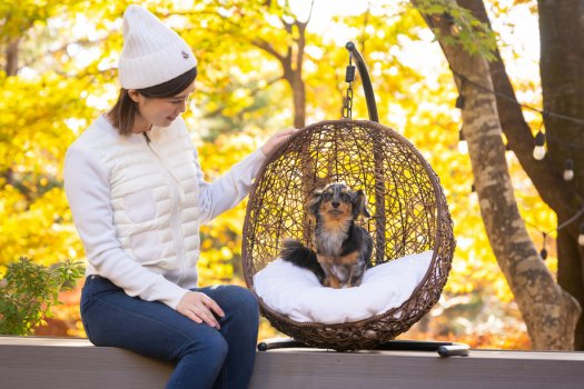 館内には写真撮影スポットも！愛犬の“もっと可愛い瞬間”が撮れますよ♪