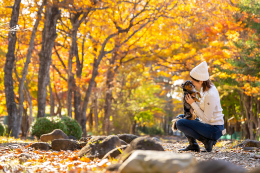 一緒に旅すれば、もっと好きになる。愛犬との特別で心地よい時間をお届けいたします。