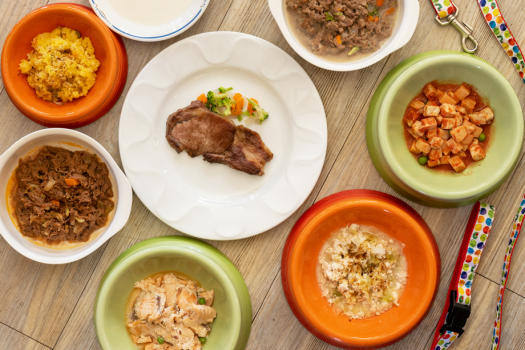 【ワンちゃん用食事メニュー】お肉、お魚、お野菜。自慢のメニューが勢揃い♪（有料・当日予約可）