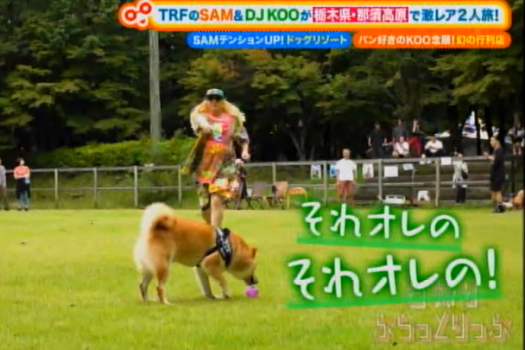 【1日1食限定】愛犬も一緒に豪華フルコースディナーを堪能♪ワンちゃんフルコースプラン＜1泊2食レストラン＞