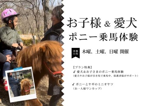 【愛犬＆お子様ポニー乗馬体験付】家族と過ごす特別なひととき