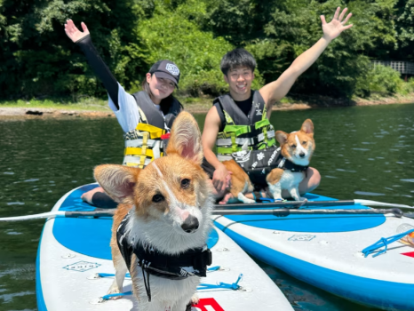 【半日SUP体験】愛犬と湖の上をゆったり散歩！那須の非日常体験プラン〈お部屋食すき焼き〉