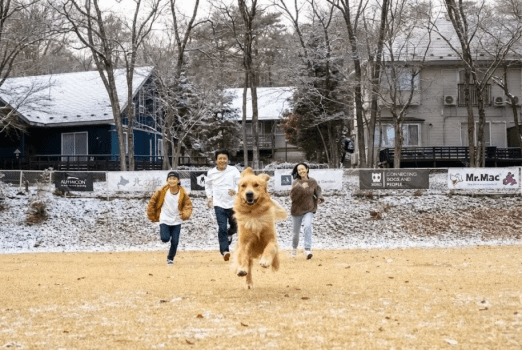 みんなで競争だ！広々としたドッグランで、わんちゃんも大はしゃぎ！