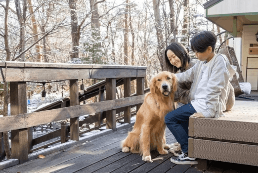 館内どこでも愛犬同伴可能♪一緒にいれて、わんちゃんもうれしそうです♪
