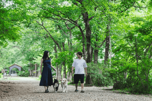 【アクティブ派におすすめ!】夕食は軽めのお部屋食/愛犬と楽しむ気軽な那須避暑旅プラン《1泊2食付/部屋食しゃぶしゃぶ》牛すき変更可◎ 【アクティブ派におすすめ!】夕食は軽めのお部屋食/愛犬と楽しむ気軽な那須避暑旅プラン《1泊2食付/部屋食しゃぶしゃぶ》牛すき変更可◎