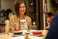 ワンちゃんだけでなく、飼い主さんにとっても特別な時間に。記念日旅行にもぴったりです！