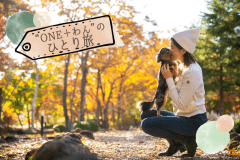 ゆったりとした時間のなかで、愛犬と向き合う時間。