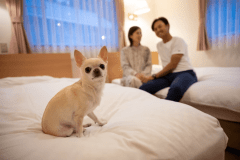 サクッと行ってゆったり過ごす栃木県民割プラン♪