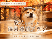 【温泉室限定】那須の紅葉を楽しむ大人の休日・2〜3連泊プラン