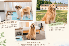 【愛犬と泊まれる】愛犬と一緒に温泉旅！料理長が厳選した旬の食材満載の和会席と美肌の湯を楽しむ基本プラン！
