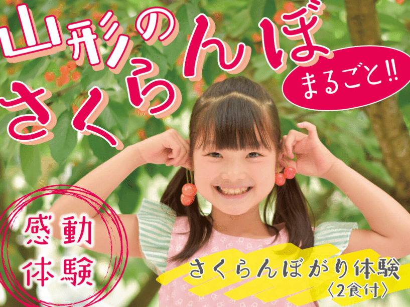 【2食付き】山形のさくらんぼ、まるごと　感動体験！朝摘みの瑞々しいさくらんぼをたっぷり召し上がれ♪
