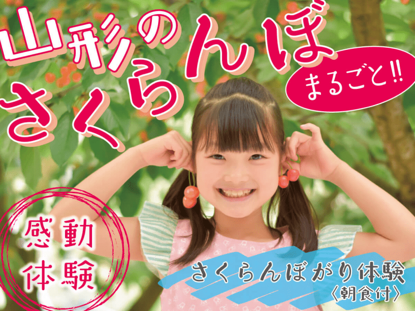 【朝食付き】山形のさくらんぼ、まるごと　感動体験！朝摘みの瑞々しいさくらんぼをたっぷり召し上がれ♪