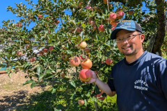【秋の味覚旅】和合平でりんご狩り体験!山形グルメ満喫(一泊二食付) 【秋の味覚旅】和合平でりんご狩り体験!山形グルメ満喫(一泊二食付)