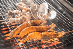 【和牛と伊勢海老満喫！いすみのBBQスペシャルコース】広々としたBBQガーデンでスペシャルBBQを楽しむ♪１棟貸切リゾート【一日限定１組の隠れ家】