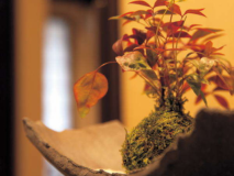 【露天風呂付き客室】別邸 四季彩「瑠璃」【禁煙】