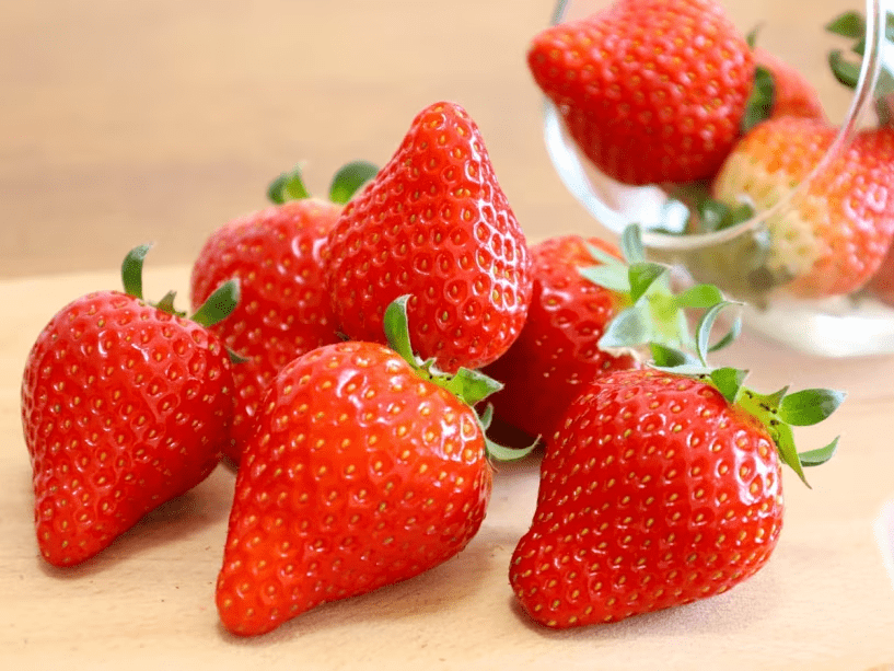 【フルーツパーク森の風】いちご狩り※イメージ