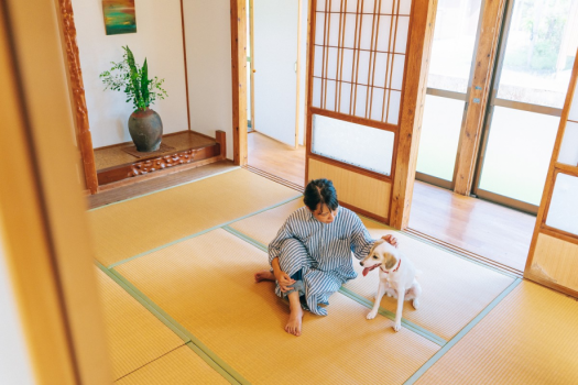 「風抜ける川辺の宿(ペット可能)」大切な家族も一緒なら楽しさ倍増