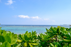 「水平線と朝陽の宿」イメージ