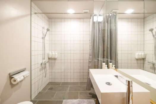 客室はシャワーのみ、歩いて行ける銭湯もまた一興